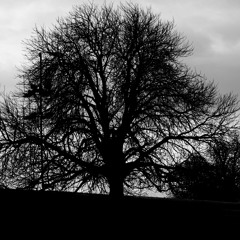 Listening To Series: 15