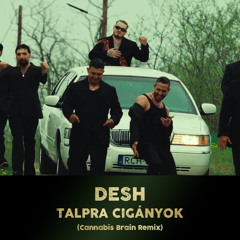 DESH - TALPRA CIGÁNYOK (Cannabis Brain Remix)