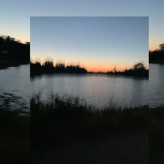 she a danger Prod. Palaze