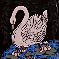 daisies and roses again (cover)