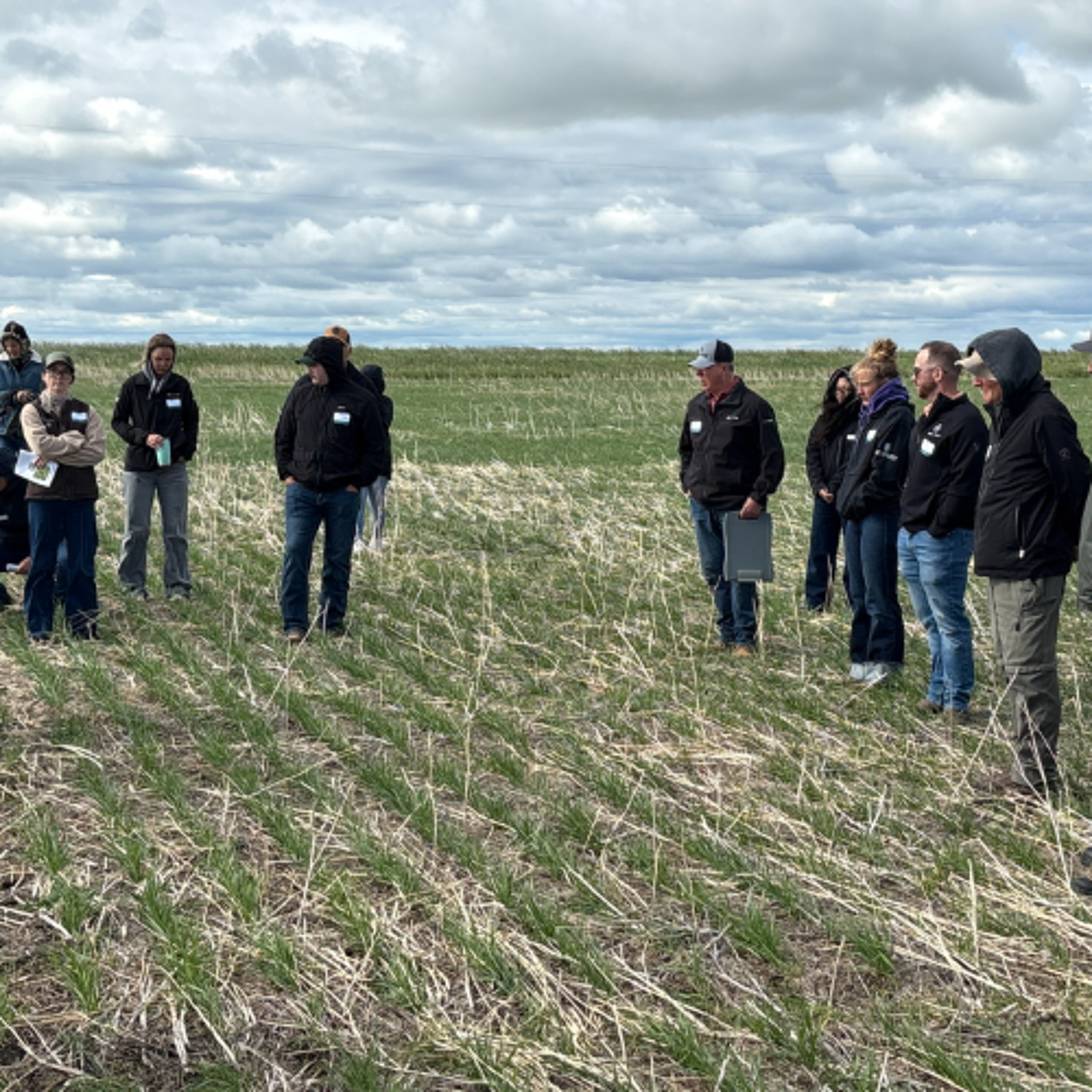 Alberta producers see research in action at Plot2Farm field day episode artwork