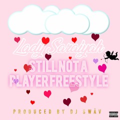 Still Not A Player Freestyle