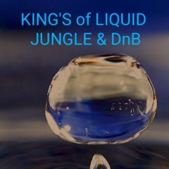 Kings Of Liquid Jungle & DnB - DJ FLAIR &  MC - IC BY DJ NYTE-RYDA.aac