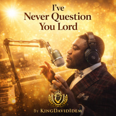 I've Never Questioned You Lord