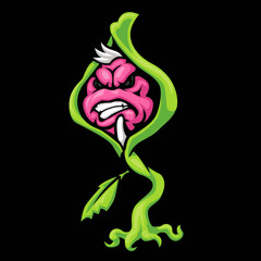 the insane clown posse