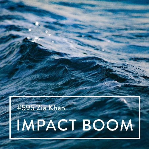 Episode 595 (2025) Zia Khan On Bold Strategies For Systemic Change