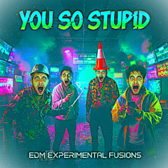 You So Stupid