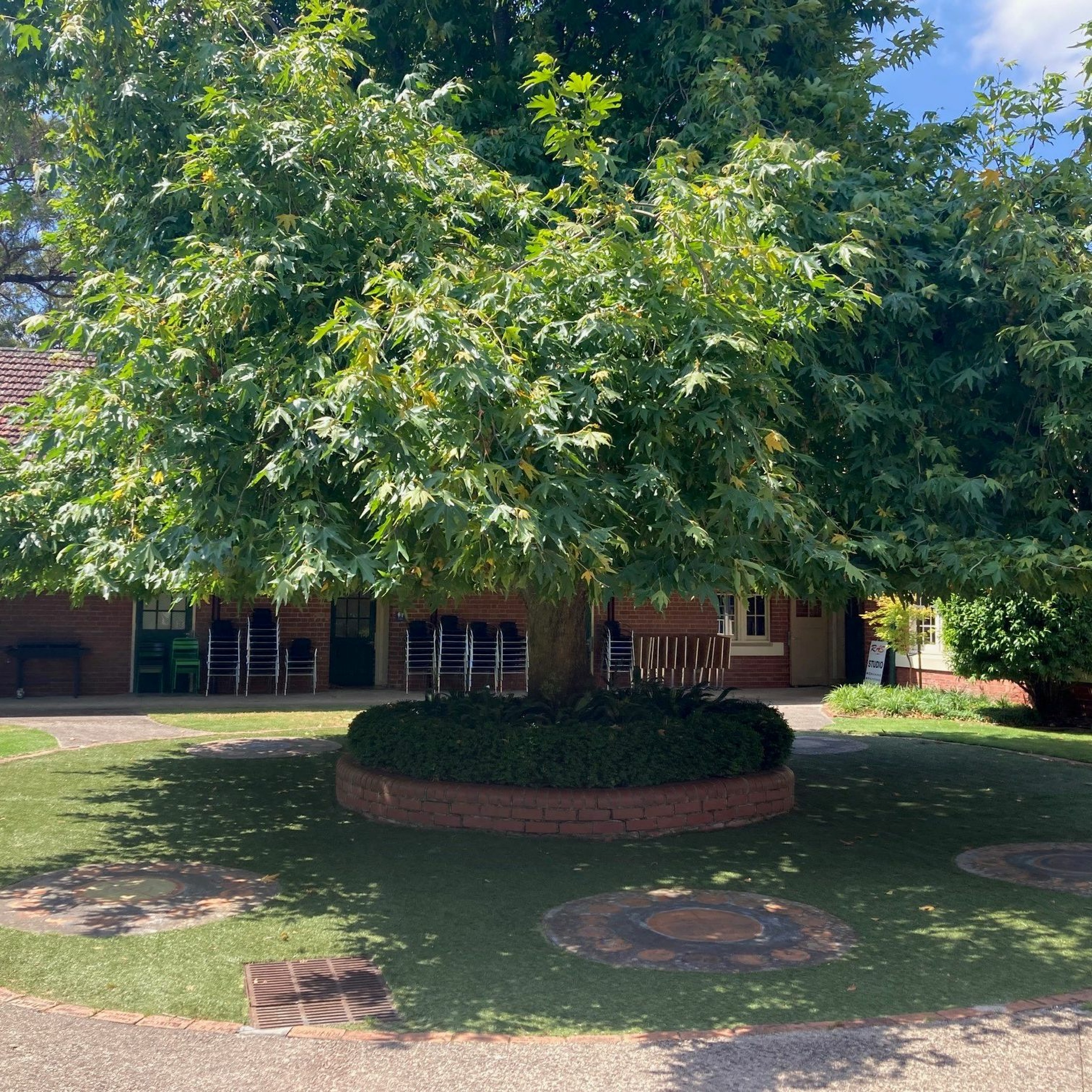 New Community Ringwood
