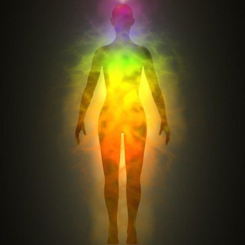 ero prazenica freestyle