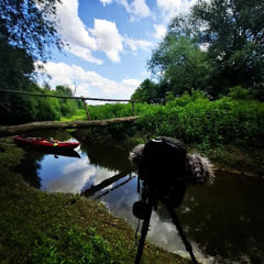 Slavček Nightingale Frogs Žabe Ljubljansko barje kajak 07062025 MKH8020 EQ