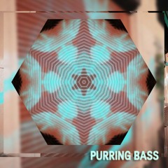 Purring Bass // Deep Tech-House Set