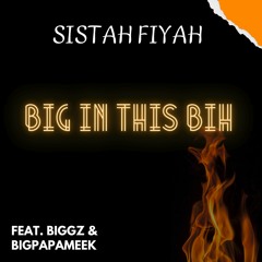 Big In This Bih ft Biggz and BIGPAPAMEEK