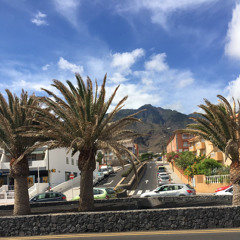 CAME THROUGH DRIPPIN'