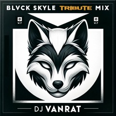 DJ Vanrat - Blvck Skyle tribute mix - 12.2023 (82-96 BPM)