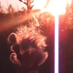 dw i get it (sped up)