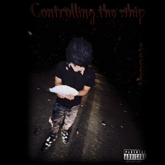 Controlling The Whip