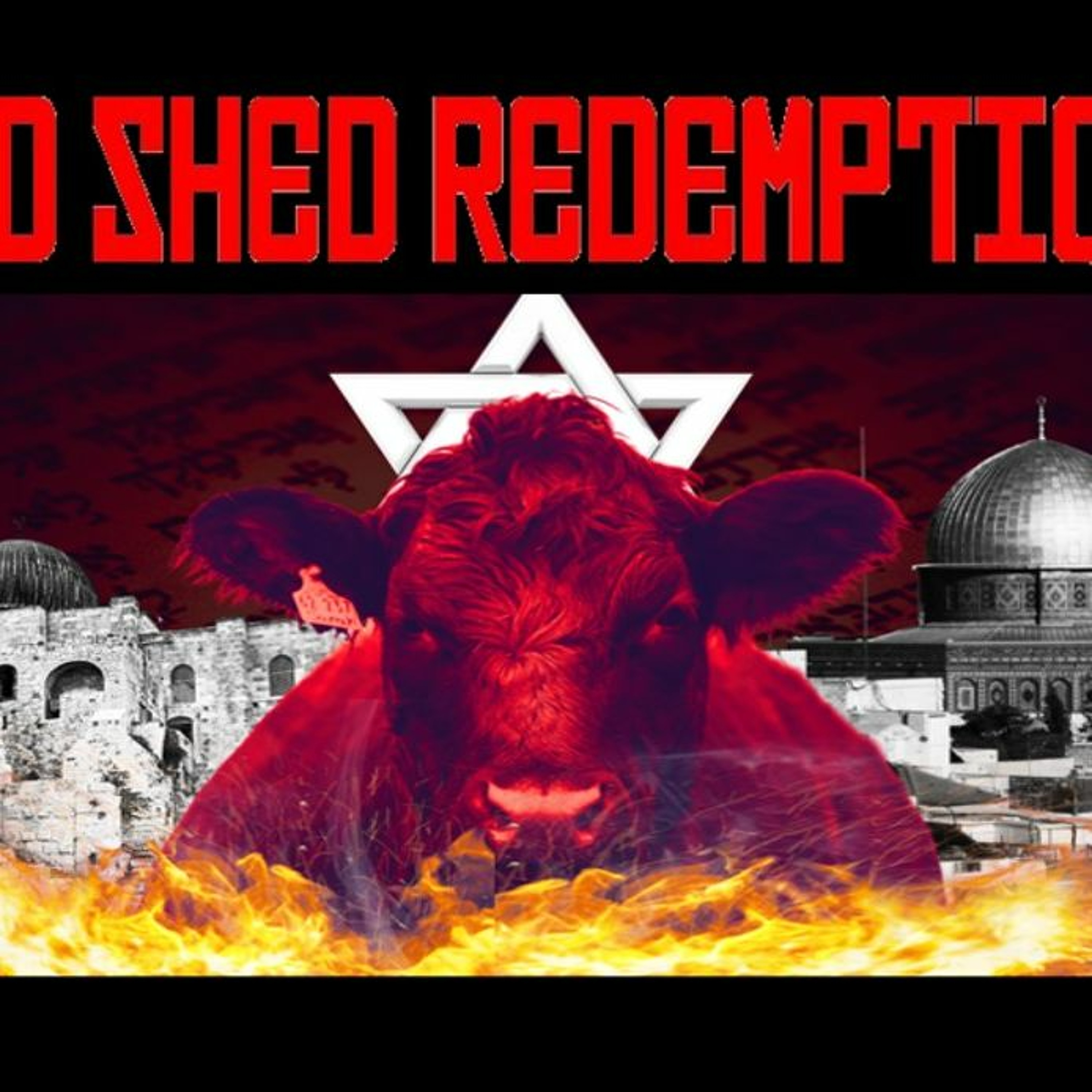 Show sample for 3/15/24: RED SHED REDEMPTION W/ PAUL BEGLEY
