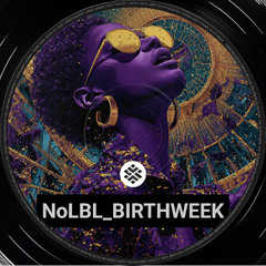 NoLBL_BIRTHWEEK (House, tech house, deep house, italo house, detroit techno)
