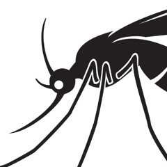 Mosquito Dance
