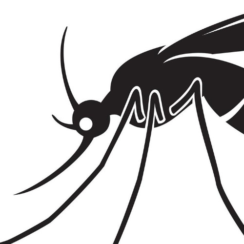 Mosquito Dance