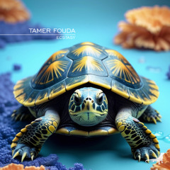 Tamer Fouda - Ecstasy (Original Mix)