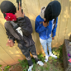 Glokk5avage - Whipitg54e