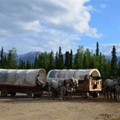 Review Special Price Horse-Drawn Covered Wagon Ride With Backcountry Dining