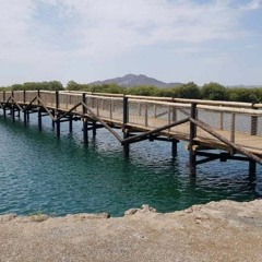 Episode 12 - Khor Kalba Mangrove Centre Part 2