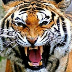 Rajah Sunda Siliwangi.mp3