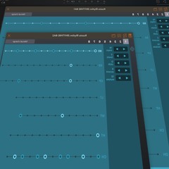 Rozeta Rhythm (What The Pluck?)