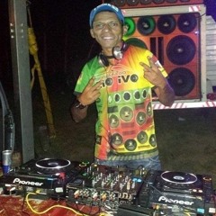 BEST ELECTRO CHINESE REMIX 2023 DJ DANILO MIX