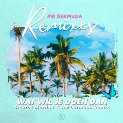 Wat Wil Je Doen Dan (Stavros & Mr Bermuda Remix)