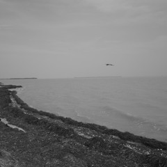 The Real Bebop Deluxe