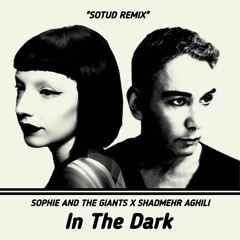In The Dark - Sophie And The Giants (Feat. Shadmeher Aghili).mp3
