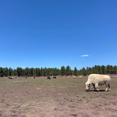 cold water.mp3 (1/18 demo)