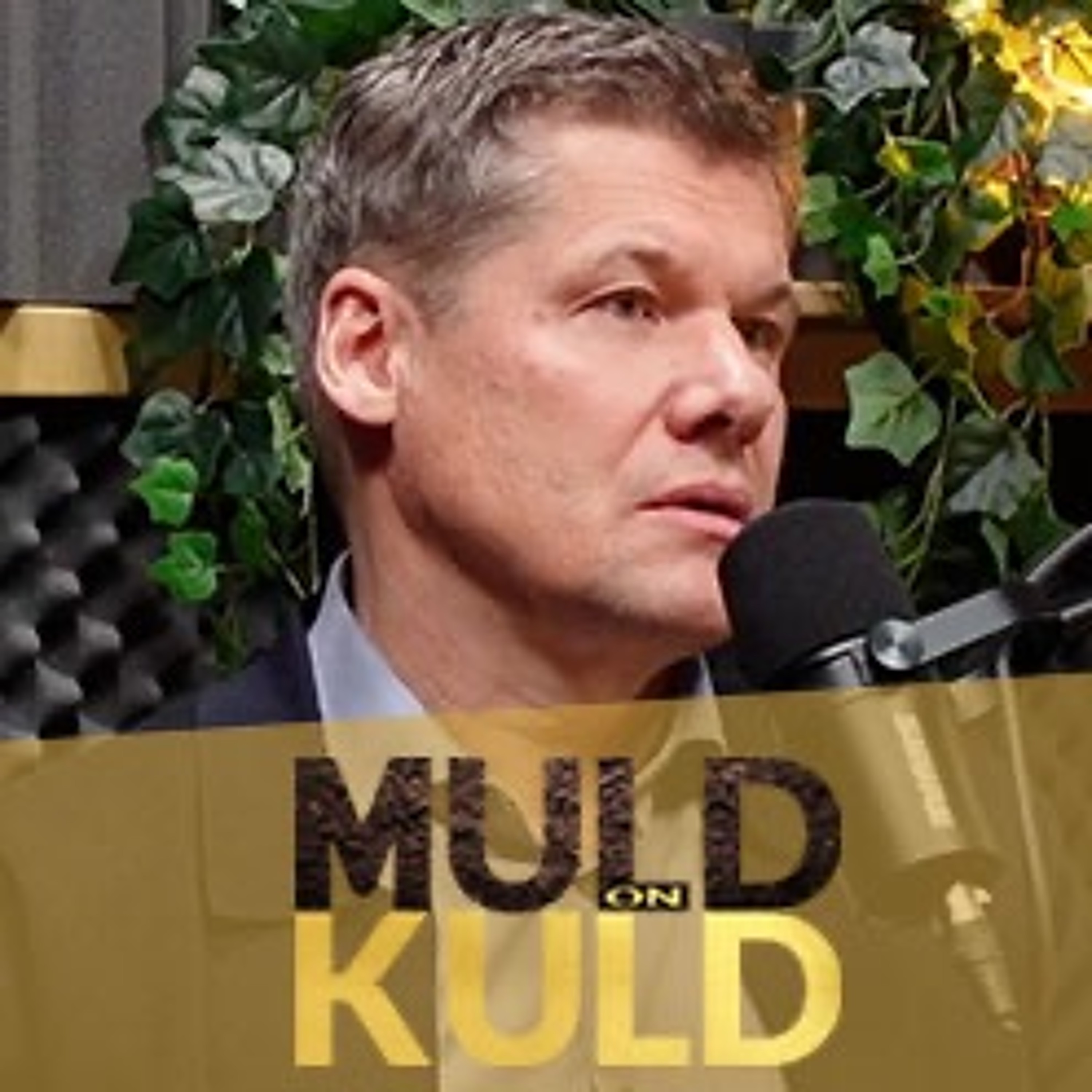 Avalinn podcast