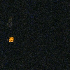 i have no sense of what home is