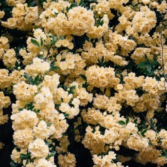 Din Dubs  & klaxor - karamel Kel -Aglow (Remix)