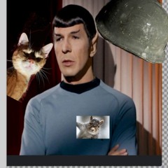 Mr Spock Two late night improv feature brother the former stray cat