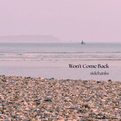 Won't Come Back