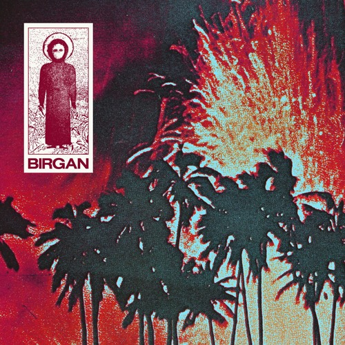 PREMIERE: Birgan - Distorted Dimensions [Danza Nativa]
