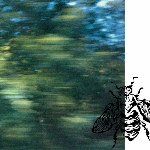 derealization
