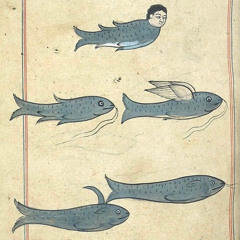 013 Medha: Twinkling Anklets