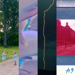 Animals opening (extrait) eko album
