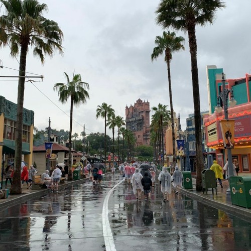 It's Been a Long Long Time but it's raining in Disney World