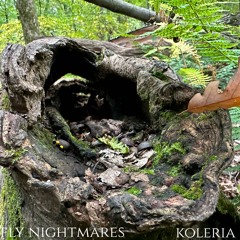 Koleria