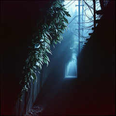 Soul Collapse