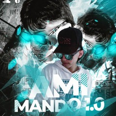 AMI MANDO 1.0