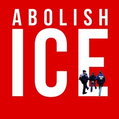 PDF✔read❤online Abolish ICE