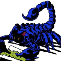 Scorpion ft. Finesse B & yvngnphamus